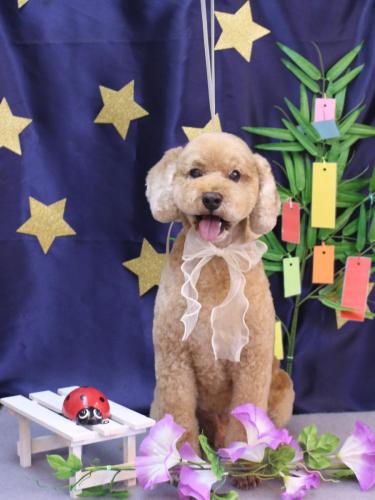 20230718アルトくん